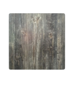 minesota__1_-removebg-preview